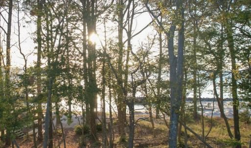 Photo #5 of Lot 8 SAND HILL DR, CAPE CHARLES, VA 2.6 acres