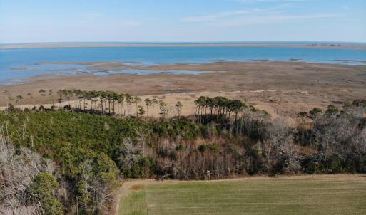 Photo #14 of 6049 POPLAR GROVE LN, CAPE CHARLES, VA 321.6 acres