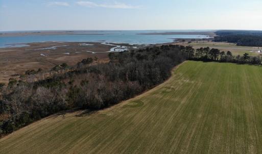 Photo #15 of 6049 POPLAR GROVE LN, CAPE CHARLES, VA 321.6 acres
