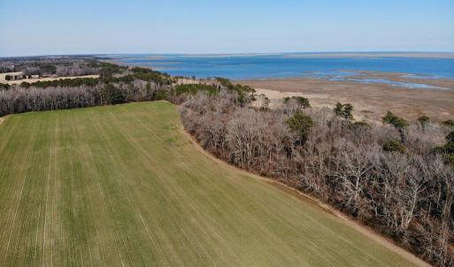 Photo #20 of 6049 POPLAR GROVE LN, CAPE CHARLES, VA 321.6 acres