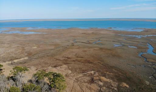 Photo #21 of 6049 POPLAR GROVE LN, CAPE CHARLES, VA 321.6 acres