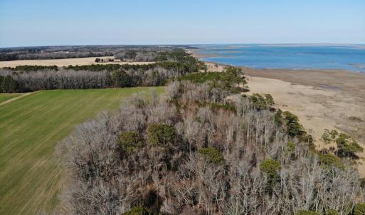 Photo #22 of 6049 POPLAR GROVE LN, CAPE CHARLES, VA 321.6 acres