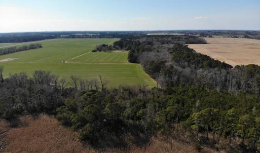 Photo #24 of 6049 POPLAR GROVE LN, CAPE CHARLES, VA 321.6 acres