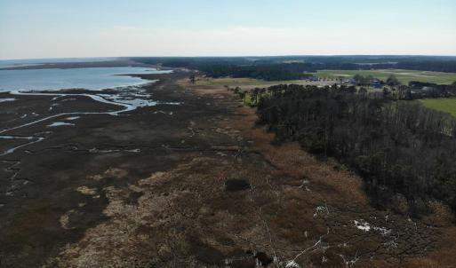 Photo #25 of 6049 POPLAR GROVE LN, CAPE CHARLES, VA 321.6 acres