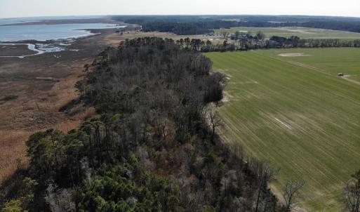 Photo #27 of 6049 POPLAR GROVE LN, CAPE CHARLES, VA 321.6 acres