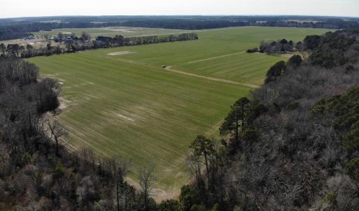 Photo #28 of 6049 POPLAR GROVE LN, CAPE CHARLES, VA 321.6 acres