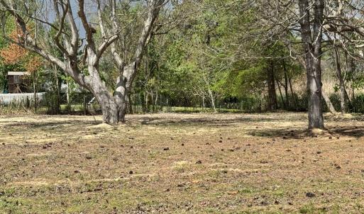 Photo #8 of 6497 CHURCH ST, CHINCOTEAGUE, VA 0.8 acres