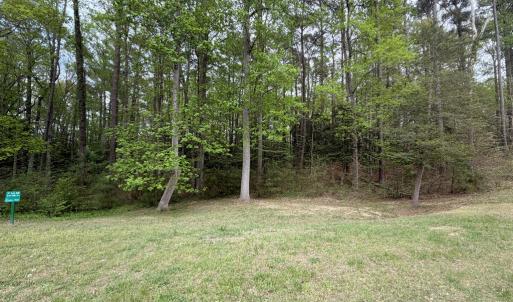 Lot 69