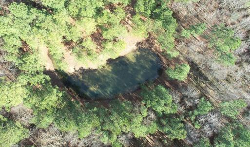 Photo #22 of LANKFORD HWY, PARKSLEY, VA 45.3 acres