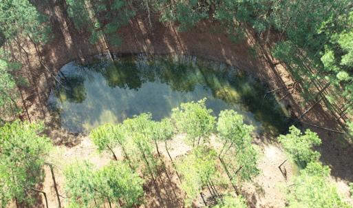 Photo #26 of LANKFORD HWY, PARKSLEY, VA 45.3 acres