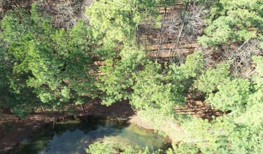 Photo #27 of LANKFORD HWY, PARKSLEY, VA 45.3 acres