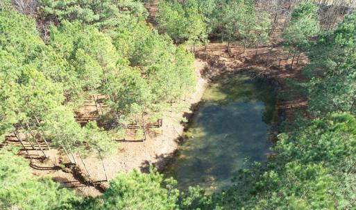 Photo #16 of LANKFORD HWY, PARKSLEY, VA 45.3 acres