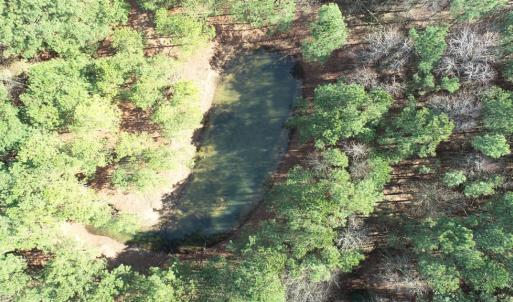 Photo #22 of LANKFORD HWY, PARKSLEY, VA 45.3 acres