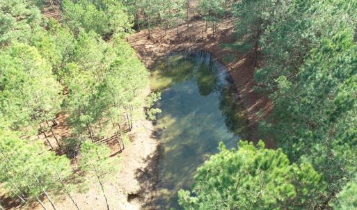 Photo #24 of LANKFORD HWY, PARKSLEY, VA 45.3 acres