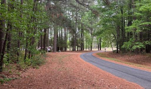 Photo #5 of RED BANK LN, MELFA, VA 3.1 acres