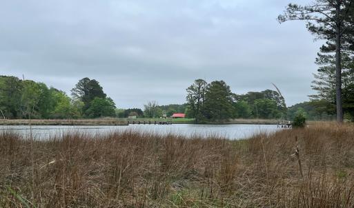 Photo #8 of RED BANK LN, MELFA, VA 3.1 acres