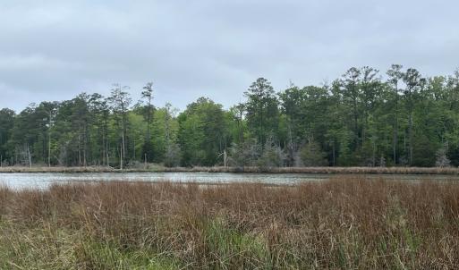 Photo #9 of RED BANK LN, MELFA, VA 3.1 acres