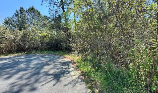 Photo #10 of 267/268 WILD PONY COURT, CHINCOTEAGUE, VA 0.6 acres