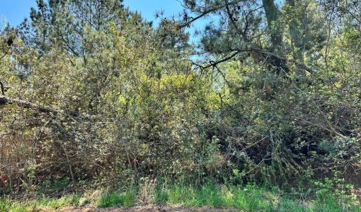Photo #11 of 267/268 WILD PONY COURT, CHINCOTEAGUE, VA 0.6 acres
