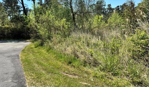 Photo #6 of 267/268 WILD PONY COURT, CHINCOTEAGUE, VA 0.6 acres