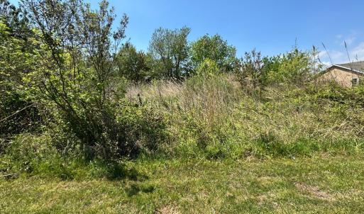 Photo #9 of 267/268 WILD PONY COURT, CHINCOTEAGUE, VA 0.6 acres