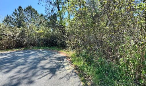 Photo #10 of 267/268 WILD PONY COURT, CHINCOTEAGUE, VA 0.6 acres