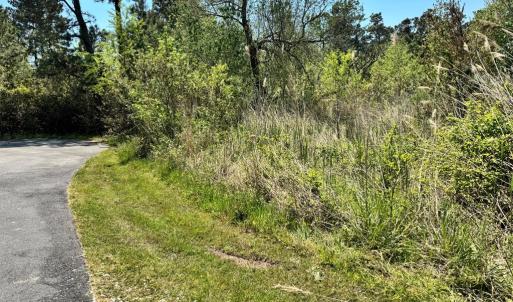 Photo #6 of 267/268 WILD PONY COURT, CHINCOTEAGUE, VA 0.6 acres