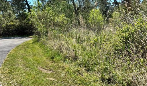 Photo #7 of 267/268 WILD PONY COURT, CHINCOTEAGUE, VA 0.6 acres