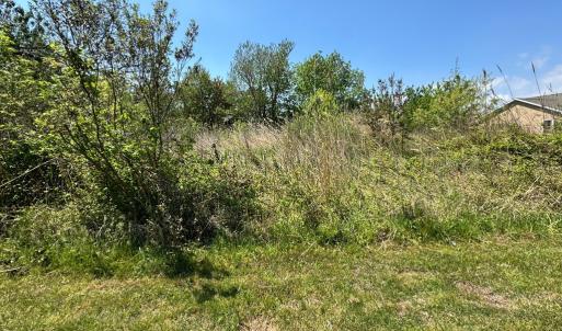 Photo #9 of 267/268 WILD PONY COURT, CHINCOTEAGUE, VA 0.6 acres