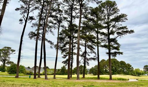 Photo #3 of Lot 435 CAPTAINS CORRIDOR, GREENBACKVILLE, VA 0.2 acres