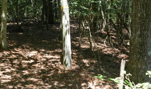 Photo #12 of Lot B6 SALTWORKS RD, JAMESVILLE, VA 4.4 acres