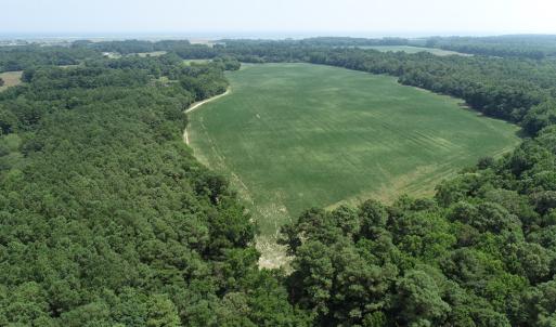 Photo #10 of #57,#154 METOMPKIN RD, PARKSLEY, VA 163.2 acres