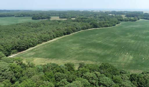 Photo #11 of #57,#154 METOMPKIN RD, PARKSLEY, VA 163.2 acres
