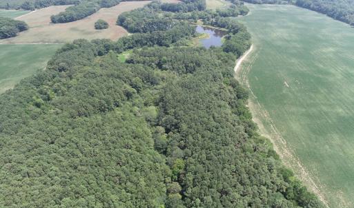 Photo #13 of #57,#154 METOMPKIN RD, PARKSLEY, VA 163.2 acres