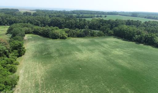 Photo #14 of #57,#154 METOMPKIN RD, PARKSLEY, VA 163.2 acres