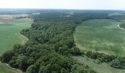 Photo #18 of #57,#154 METOMPKIN RD, PARKSLEY, VA 163.2 acres
