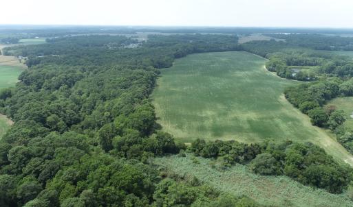 Photo #19 of #57,#154 METOMPKIN RD, PARKSLEY, VA 163.2 acres