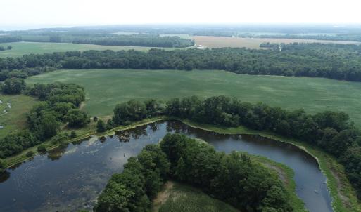 Photo #2 of #57,#154 METOMPKIN RD, PARKSLEY, VA 163.2 acres