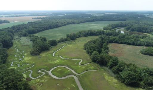 Photo #26 of #57,#154 METOMPKIN RD, PARKSLEY, VA 163.2 acres