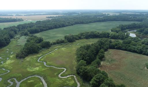 Photo #27 of #57,#154 METOMPKIN RD, PARKSLEY, VA 163.2 acres