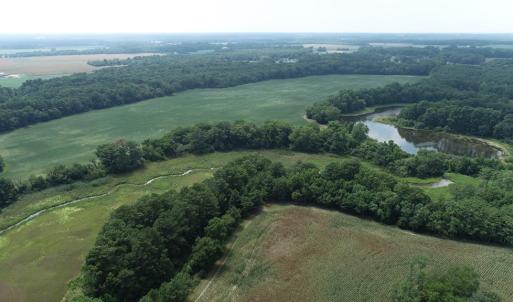Photo #28 of #57,#154 METOMPKIN RD, PARKSLEY, VA 163.2 acres