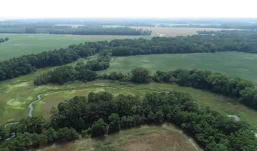 Photo #29 of #57,#154 METOMPKIN RD, PARKSLEY, VA 163.2 acres