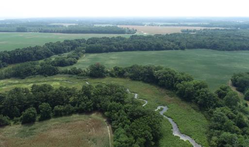 Photo #30 of #57,#154 METOMPKIN RD, PARKSLEY, VA 163.2 acres