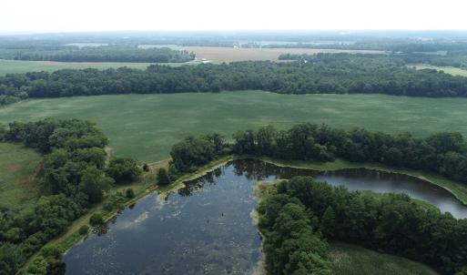 Photo #31 of #57,#154 METOMPKIN RD, PARKSLEY, VA 163.2 acres