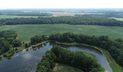 Photo #32 of #57,#154 METOMPKIN RD, PARKSLEY, VA 163.2 acres