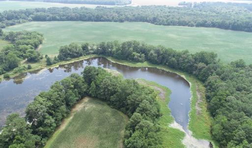 Photo #33 of #57,#154 METOMPKIN RD, PARKSLEY, VA 163.2 acres