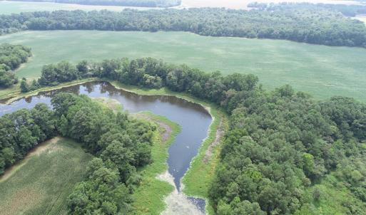 Photo #34 of #57,#154 METOMPKIN RD, PARKSLEY, VA 163.2 acres