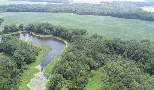 Photo #35 of #57,#154 METOMPKIN RD, PARKSLEY, VA 163.2 acres