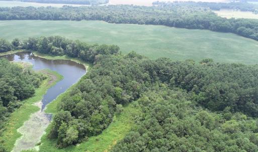 Photo #36 of #57,#154 METOMPKIN RD, PARKSLEY, VA 163.2 acres