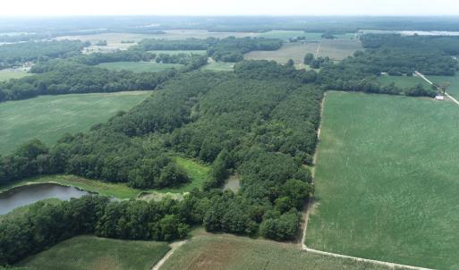 Photo #38 of #57,#154 METOMPKIN RD, PARKSLEY, VA 163.2 acres